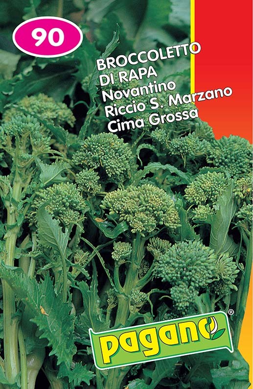 CIMA DI RAPA 90 RSM KG.1