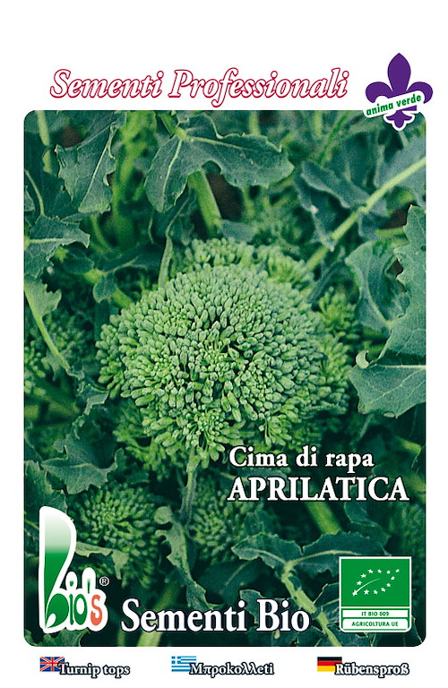 CIMA DI RAPA APRILATICA KG.1