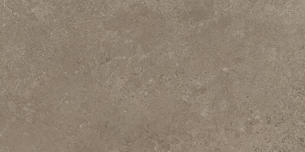 MGM - CANYON TORTORA 30X60