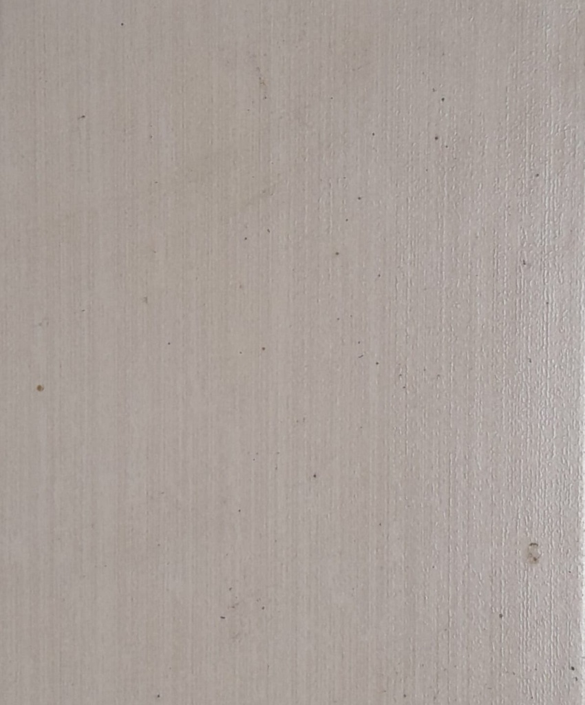 CERAMICHE CAMPOGALLIANO - LIBERTY AVORIO 20X20