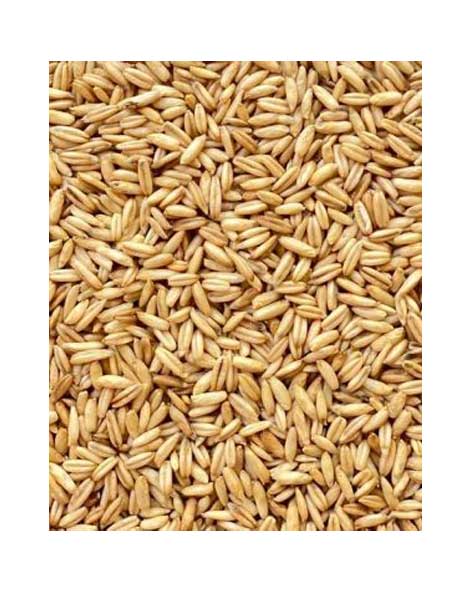 AVENA NAZIONALE 30KG /MANGIME SEMPLICE LOTTO AVR2023