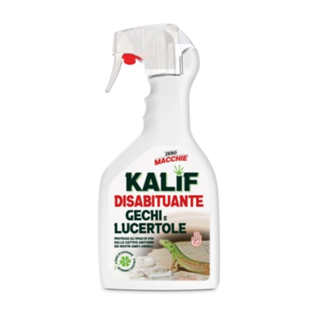 DISABITUANTE GECHI E LUCERTOLE