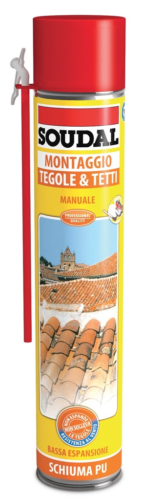 SCHIUMA TEGOLE E TETTI MANUALE DIY 750ML