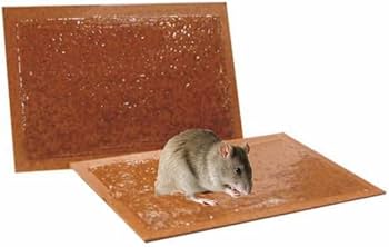 TAVOLETTE ADESIVE PER TOPI 18X28 - CF.2PZ