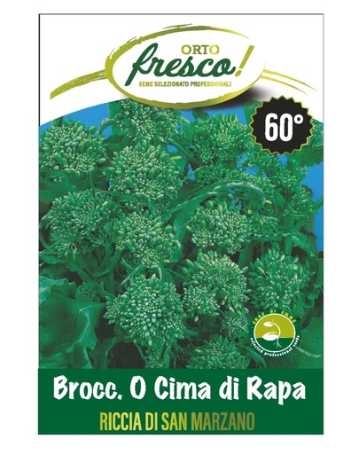 [CVB600] CIMA DI RAPA 60 RSM KG.1