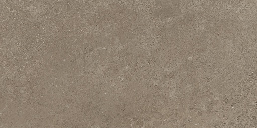 MGM - CANYON TORTORA 30X60