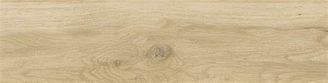 RONDINE - VISUAL MIELE 15X61