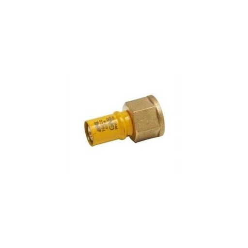 [702G201/220] NTM NIPLES F 1/2 X 20 PRESSARE GAS